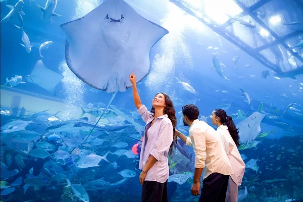 Dubai Aquarium and Underwater Zoo