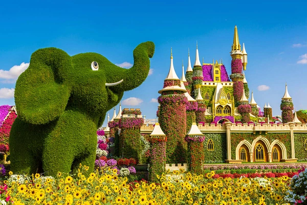 Dubai Essentials with Seasonal Wonders