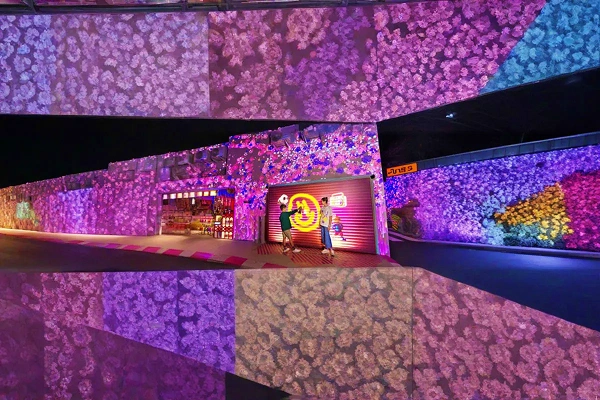 Dubai Essentials with Seasonal Wonders