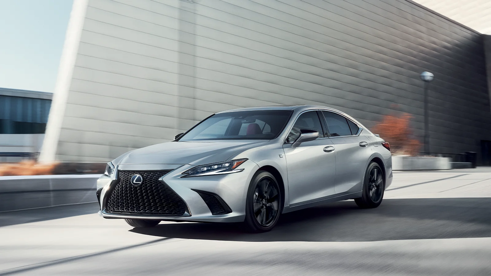 Lexus ES 300h  / Tesla Model 3