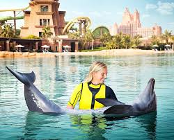 Dolphin Bay Atlantis