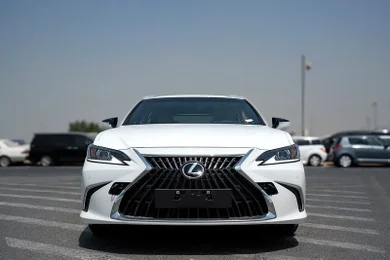 Lexus ES 300h  / Tesla Model 3